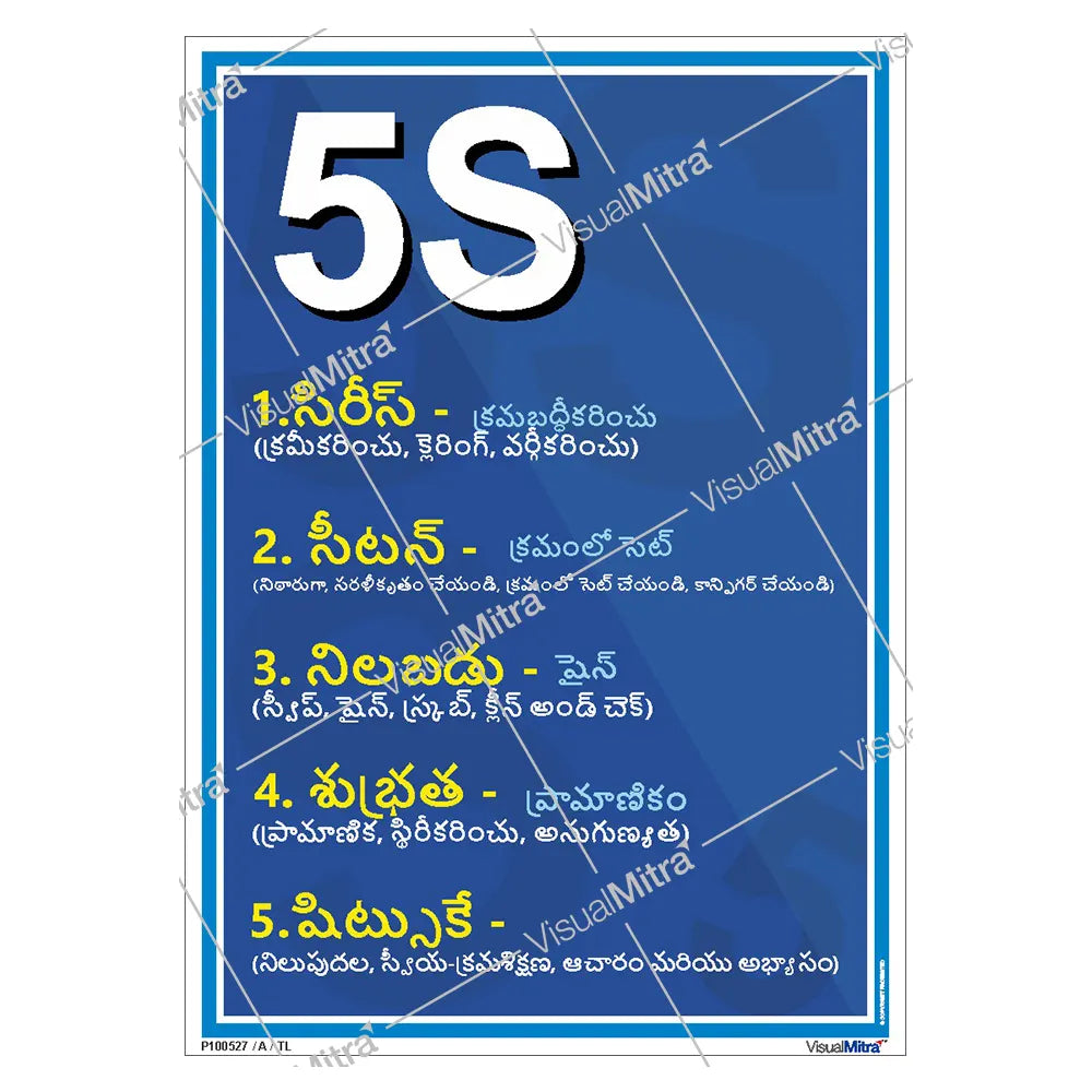 5S Poster